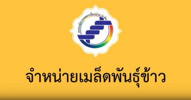 จำหน่ายเมล็ดพันธ์ุข้าว